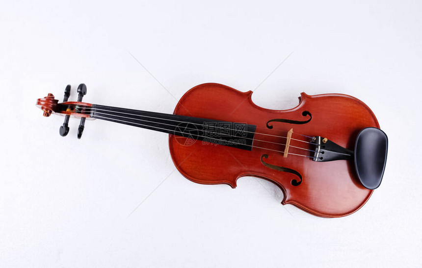 木小提琴把背景展示弦乐图片