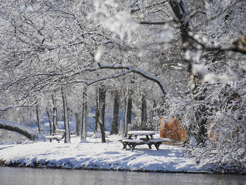 池塘旁的冬季风景宽阔树木和长椅图片