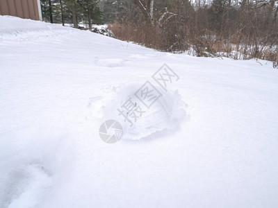 在威斯康辛州冬季新的白毛雪中制造了新鲜的人类鞋足迹背景图片