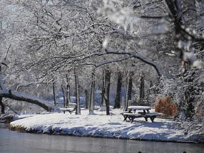 池塘旁公园的冬季场景树木和长椅覆图片
