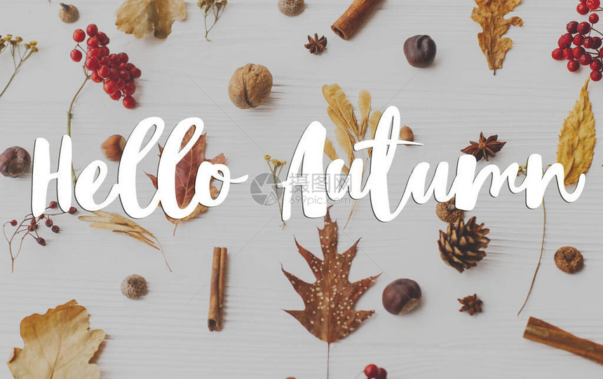 你好秋天的文字在秋天的叶子浆果橡子核桃肉桂和茴香上在白色背景图片