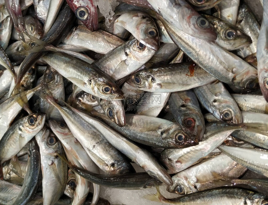 新鲜葡萄牙沙丁鱼在市