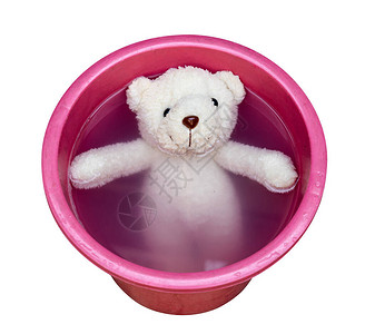 在水桶里洗泰迪熊图片