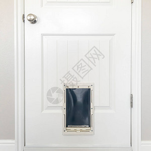 方形框架关闭与底部的小宠物门的白色木镶板门带有小开口和翻盖的门图片