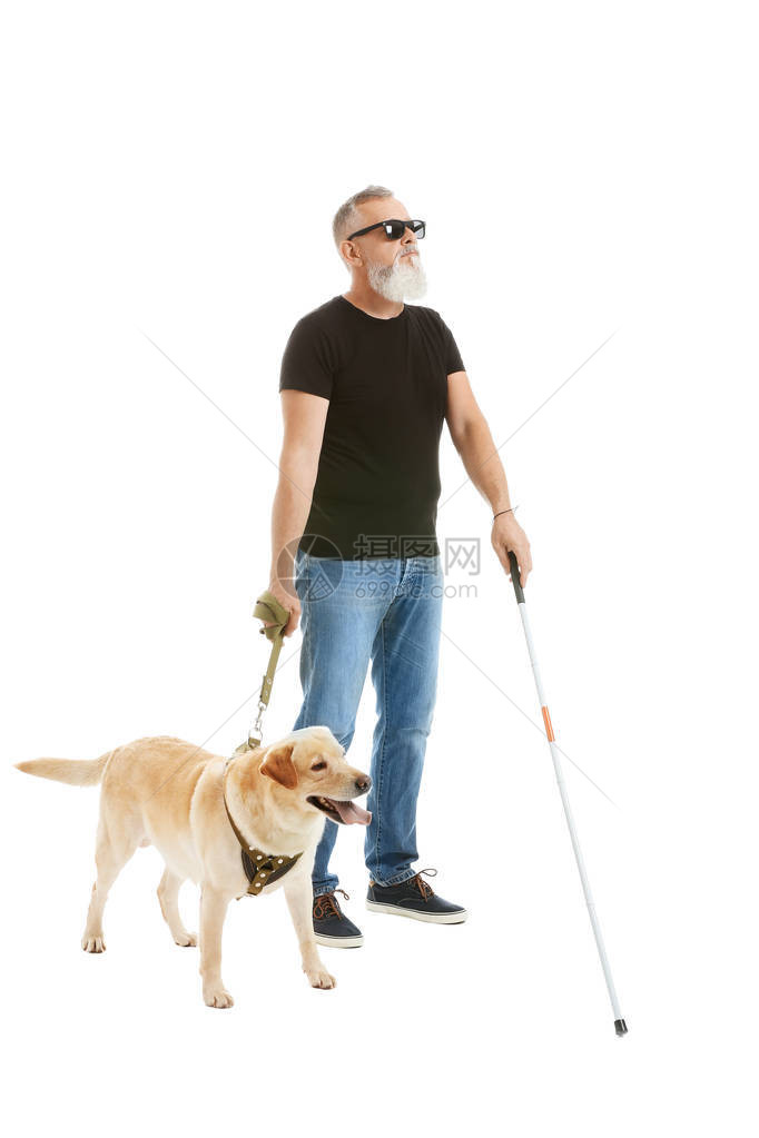 盲人成年男子与导盲犬在白色背景图片