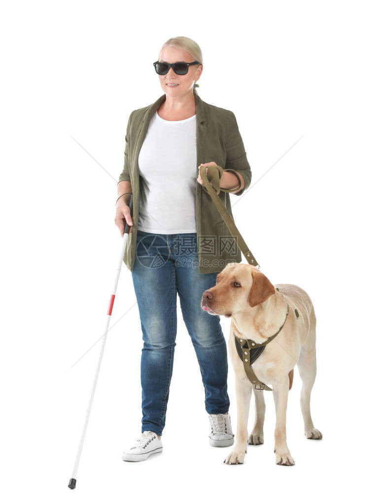 有导盲犬的盲人成熟女人在白色背景图片