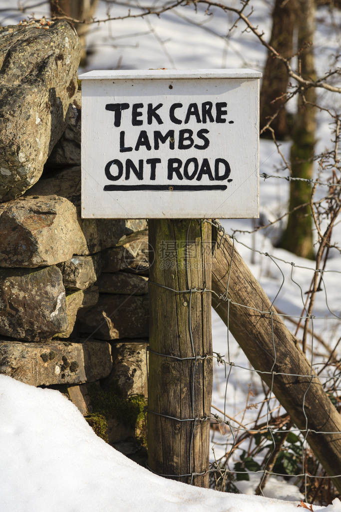 TekCareLambsOntRoad英国北部方言中写的一个标志图片