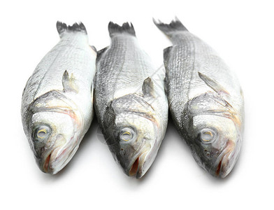 白色背景上的新鲜海鲈鱼背景图片