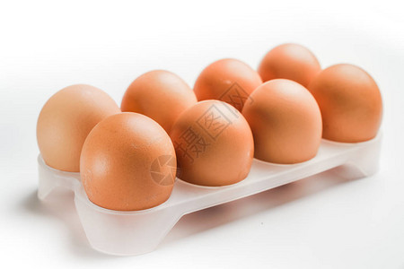 白色背景下鸡蛋盘中的鸡蛋图片