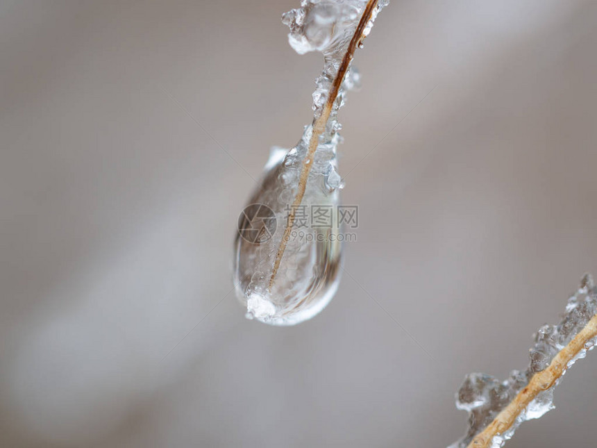 在寒冷的冬天结冰的水滴与冰晶的特写图片