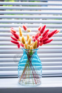 窗台上的玻璃花瓶里有红色和黄色干燥的拉力器背景图片