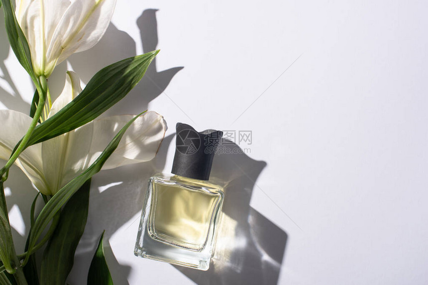 白色背景的百合花附近的瓶图片