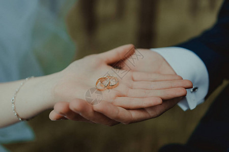 两枚美丽的金婚戒指以最背景图片