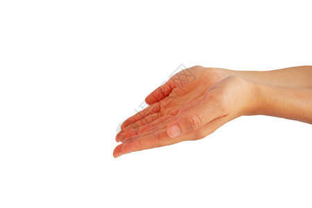 女人双手伸出手来求给或得到白底的孤立的东西图片