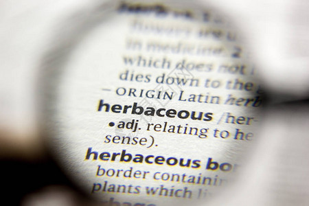 字典中的Herbaceo背景图片