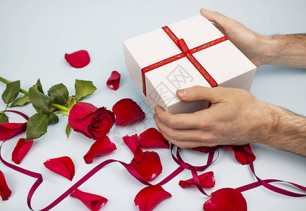 当下浅色背景上的红玫瑰和玫瑰花瓣的礼物拿着礼物的人图片