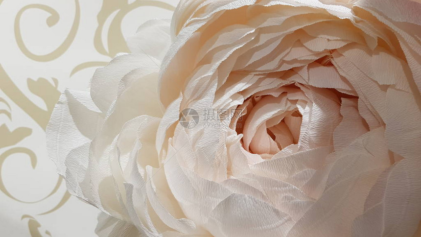 由绉纸制成的嫩白牡丹花软纸牡丹花瓣特写情人节背景的郁葱的牡丹花白色婚礼花束装饰米色图片