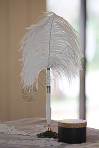 用来在婚礼仪式上签婚约的白羽毛笔背景图片