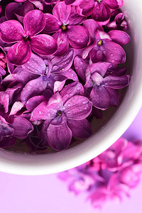 在白色杯子的明亮的淡紫色花背景图片
