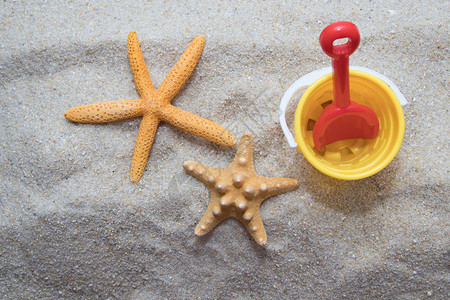 沙滩上的海星和沙滩玩具图片