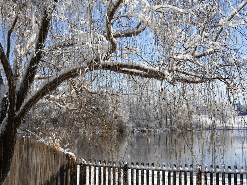 在池塘旁的木墙上挂着覆盖冰雪的美丽的图片