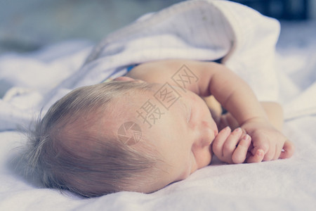 刚出生的婴儿睡得很香婴儿生图片