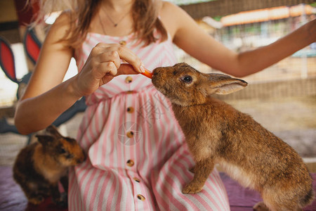 这个女孩怀抱着兔子图片