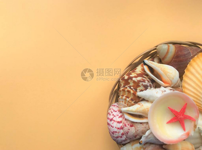 许多外来的彩色贝壳和小海星都躺在右下角的一个篮子里在浅橙色背景上图片