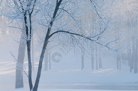 美国密歇根州卡拉马祖市米勒姆公园一个寒冷的早晨图片