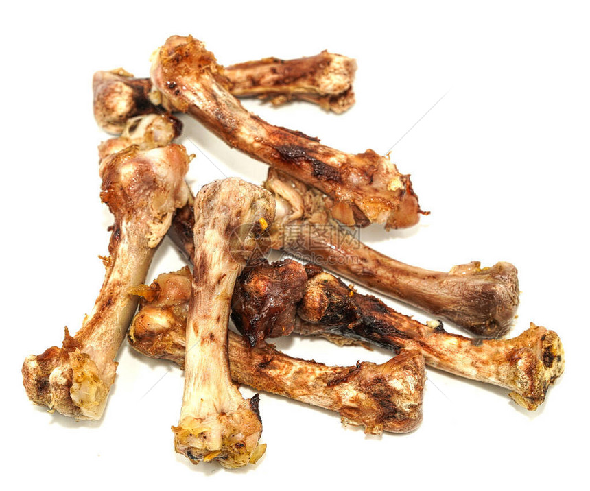 白色背景的小骨头食物残图片