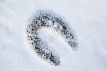 雪地里的马蹄脚印图片