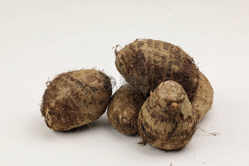 与Taro根或Colocasia或白色背景的甘薯同质图片