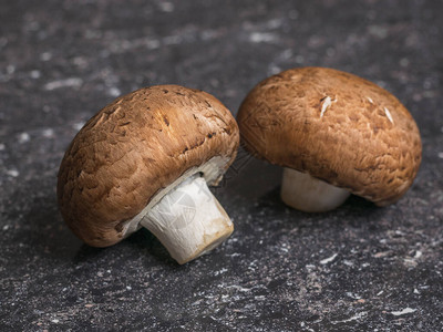 两块新鲜的皇家蘑菇在石头背景上蔬菜食品人图片