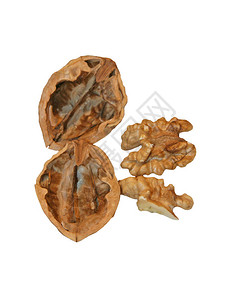核桃可以近距离看到核桃零件贝壳和可食用坚果白色背景上的核桃图片