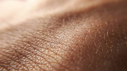 健康的巨型皮肤手接近棕褐色的皮肤图片