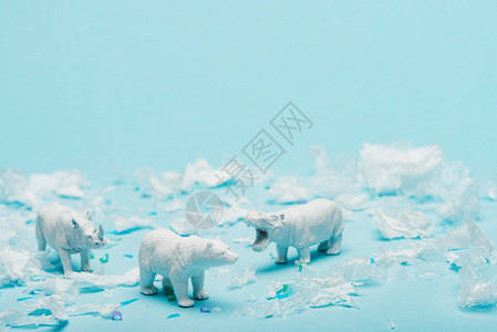 蓝色背景塑料垃圾的河马犀牛和熊白色玩具图片