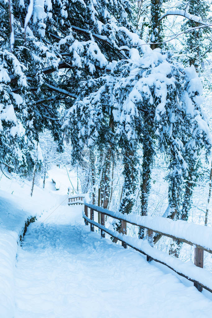 在德国慕尼黑的一个雪地公园一条狭小图片