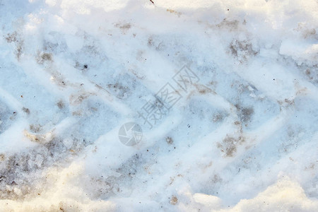 雪中的轮车足迹详图片