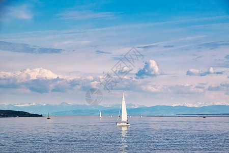 春天早晨在博登湖上的帆船背景图片