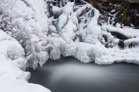 冬季森林中的冰冻河流图片