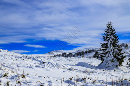保加利亚维托沙山背景图片