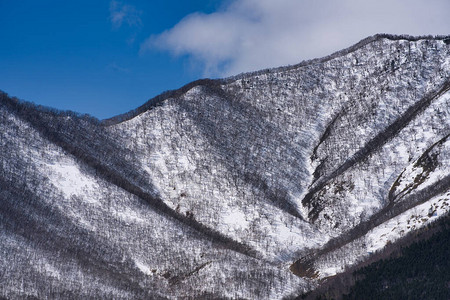 北海道春天的日高山图片