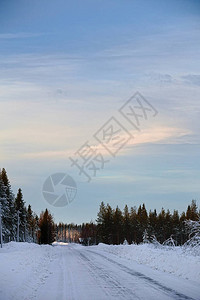 在瑞典森林的冬图片