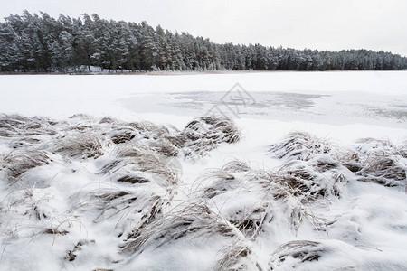 冬天结冰的湖面图片