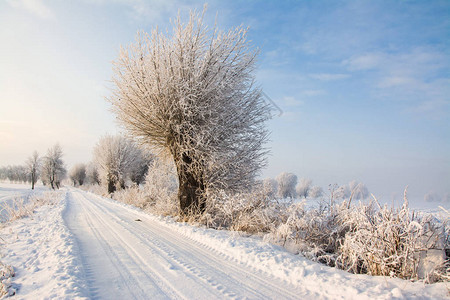 美丽的冬季风景泥土道图片