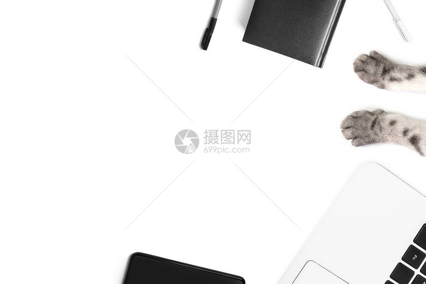 黑色笔记本和笔智能手机白色笔记本电脑白色背景上的灰色猫爪在家工作远程就业在线业务宠物的概念简图片