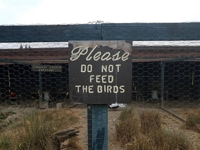 请不要喂鸟儿们的标图片