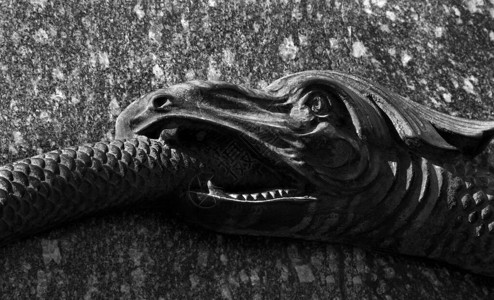 一条吞下尾巴的蛇永恒和重生的象征波尔塔瓦荣耀纪图片