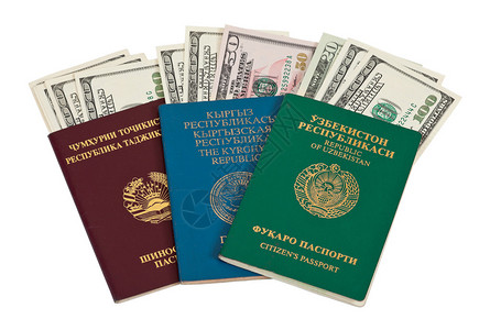 外国护照和美元图片