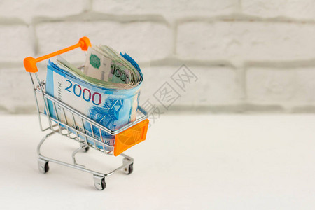 购物车和计算器中的俄罗斯卢布管理生活和家庭预算所必图片